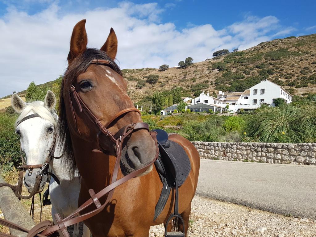 Hotel Fuente Del Sol Antequera Eksteriør billede